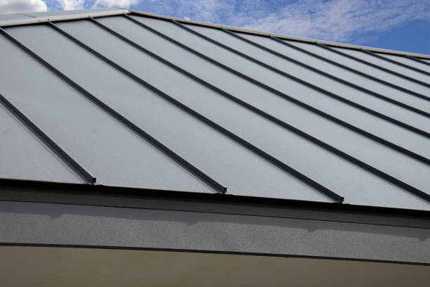 Best Roof Moss and Algae Removal  in Humboldt, IA